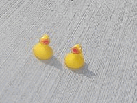 Entchen in Barcelona!