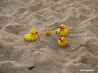 Entchen in Barcelona!