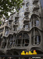 Entchen in Barcelona!