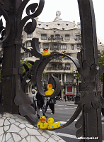 Entchen in Barcelona!