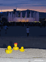 Entchen in Barcelona!