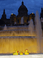 Entchen in Barcelona!