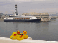 Entchen in Barcelona!