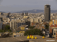 Entchen in Barcelona!