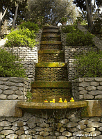 Entchen in Barcelona!