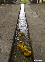 Entchen in Barcelona!