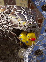 Entchen in Barcelona!