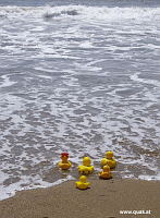 Entchen in Barcelona!