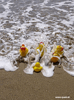 Entchen in Barcelona!