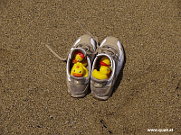 Entchen in Barcelona!