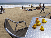 Entchen in Barcelona!