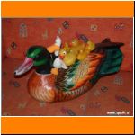 Zuhause bei den Entchen