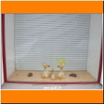 Zuhause bei den Entchen