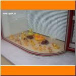 Zuhause bei den Entchen