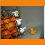 Zuhause bei den Entchen