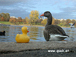 Verwandtenbesuch im Hyde Park